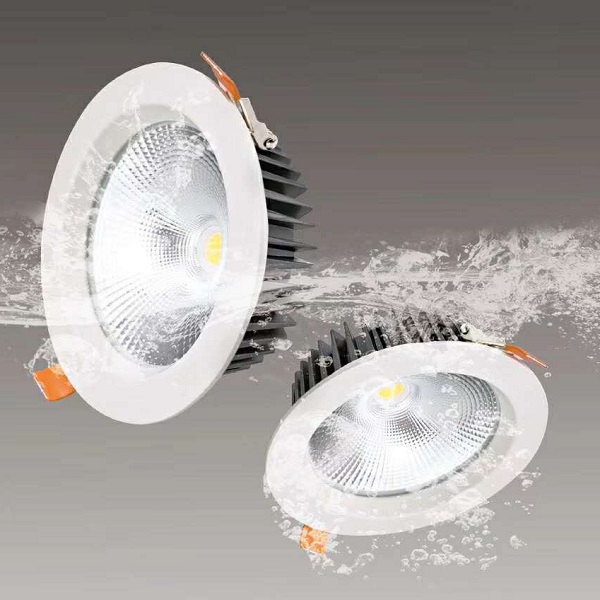 Waterproofprojectdownlight