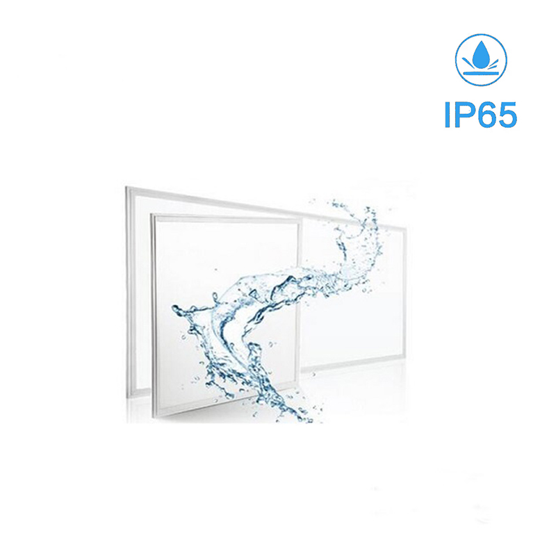 IP65 waterproof led light BE-DQ8037F 