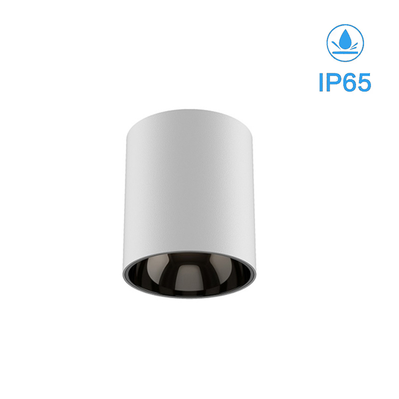 IP65downlightmanufacturer