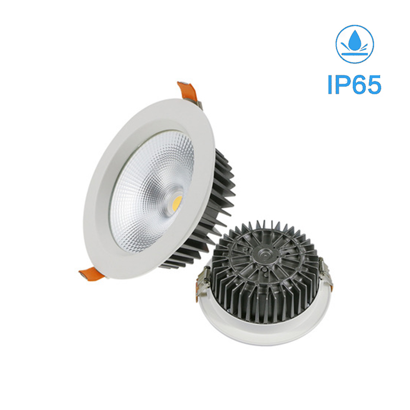 IP65 led light BE-D8340
