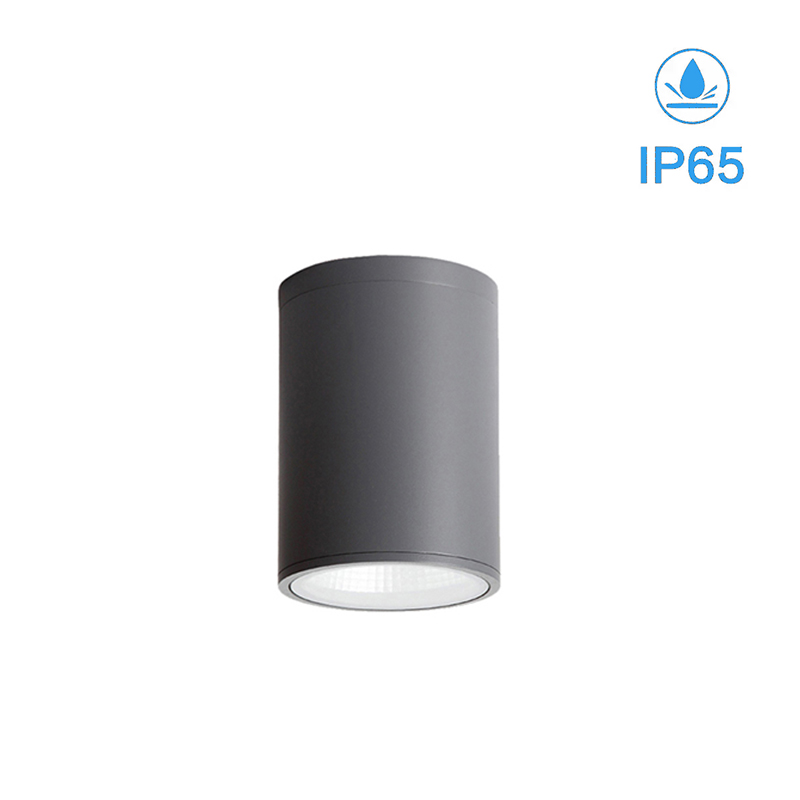 IP65 Downlight led ceiling BE-M2269 