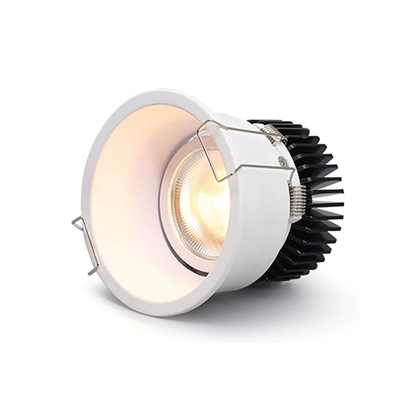 BE-D8338,Adjustabledownlight3000k