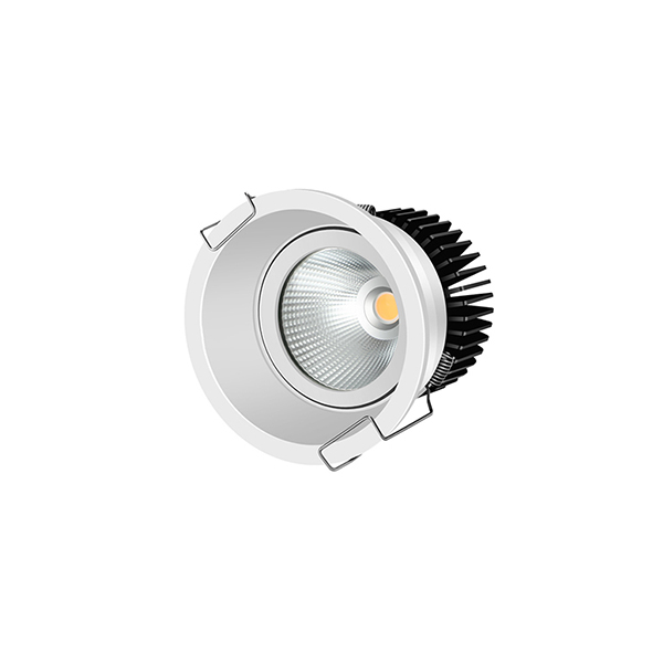 Adjustable downlight 3000K BE-D8338