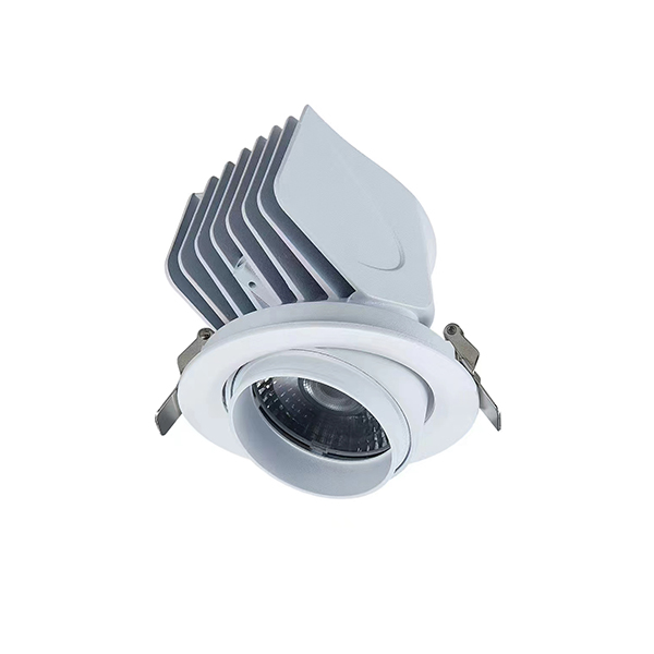 Downlight gimbal round BE-D8339S