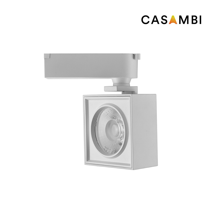 Smart control light BE-G2564F