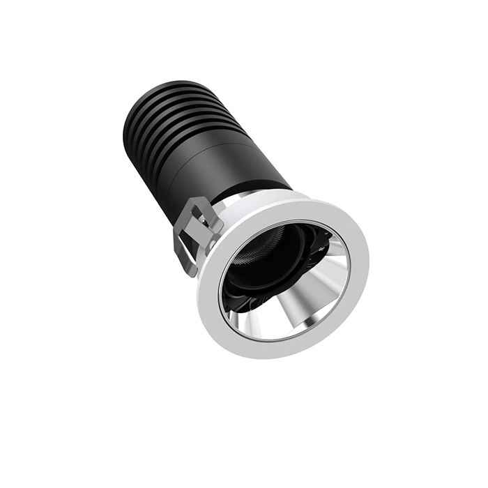 Adjustablegallerydownlight