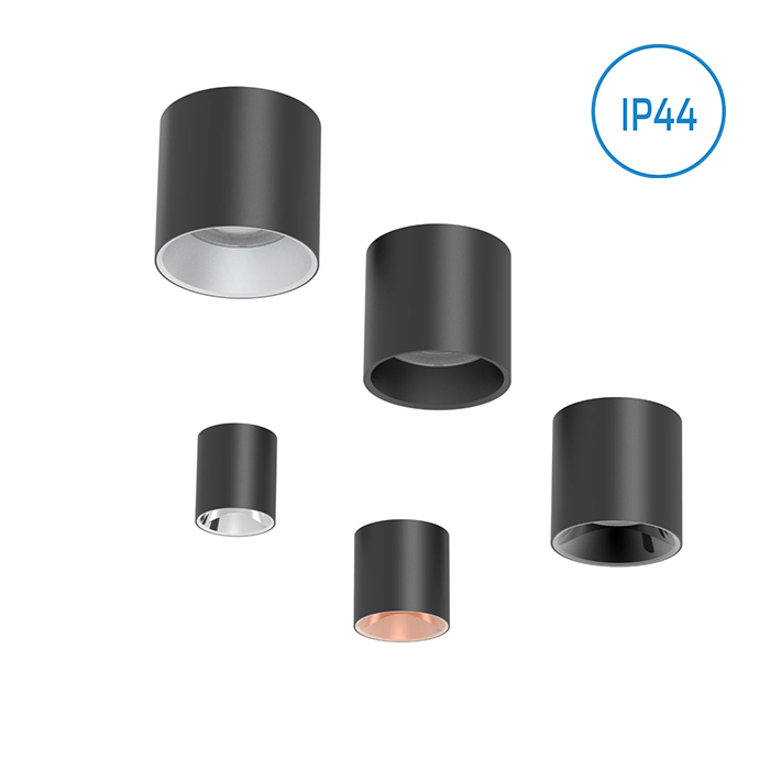 IP54 Surface Mounted Ceiling LightDali