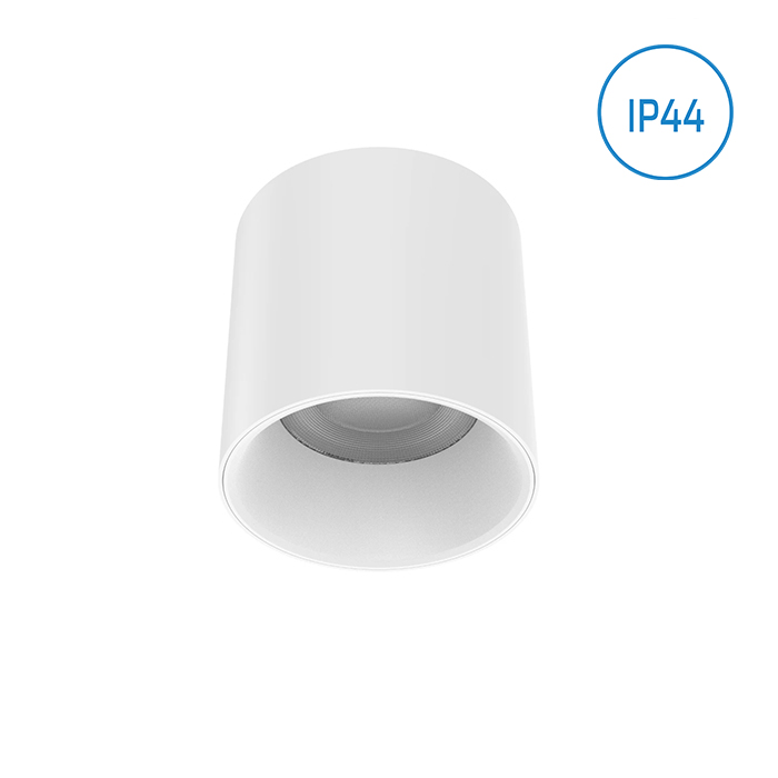 IP44 Surface Mounted Ceiling Light