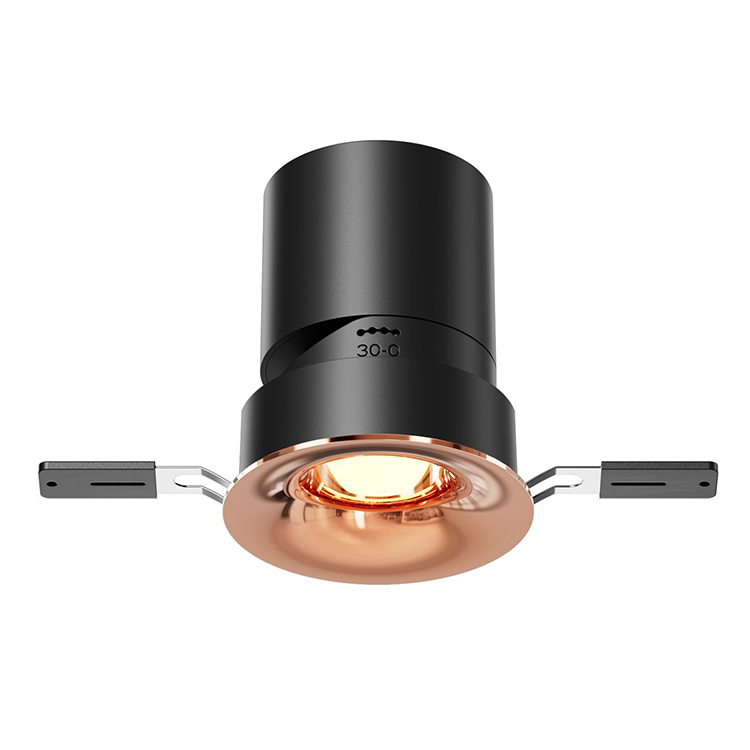 Curve Adjustable downlightGold