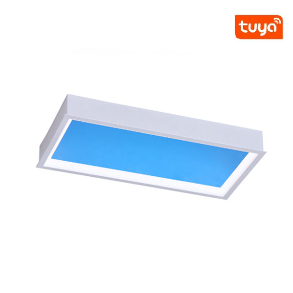 CeilingLightIntelligent