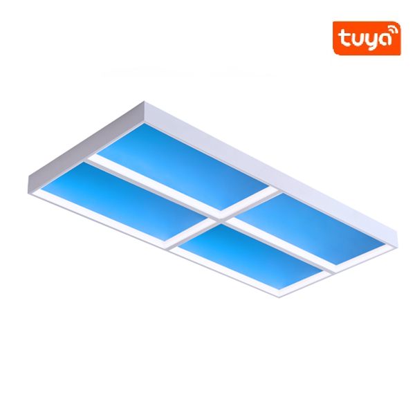Dimmable LED Ceiling Light BE-DQ8030