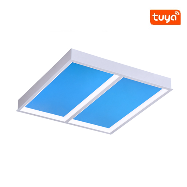 SkylightPanelSunroofLight