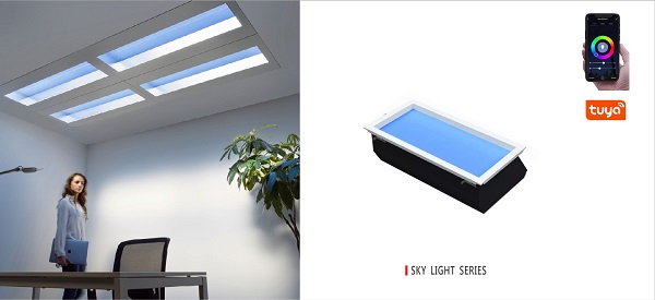 Skylight